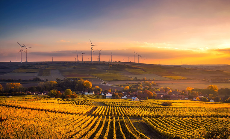 campo inmenso en el atardecer. Hay casas, cultivos y molinos eólicos